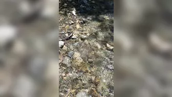 Pov Of The Wife Blowing Me In The Creek