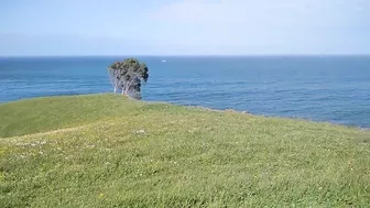 Public Blowjob With Sea Views:)! Quick, Come Someone&#'S Coming