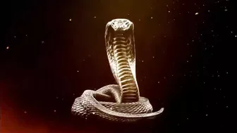 Deliver Me King Cobra Extended Preview