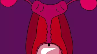 Internal Ejaculation #2 (Animation)