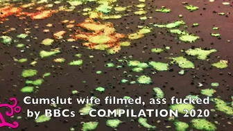 Cumslut Wife Fucked Raw By Bbcs Compilation 2020 Full Video