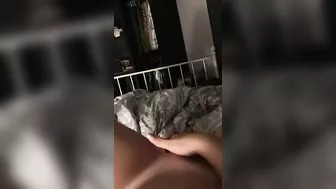 Ex Girlfriend Rubbs Her Shaved Pussy