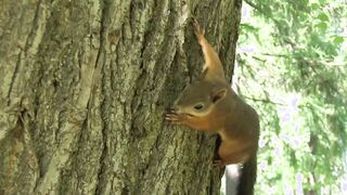 Lucy G Gets Nude And Has Fun Inside The Park