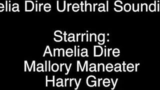 Amelia Dire/Mallory Maneater (Part 8) Bdsm Sounding Rods Butt Vibrators Dildos Piss Restraint