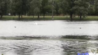 Mélissa, Jolie Métisse, Se Fait Prendre La Chatte Au Bord Du Lac