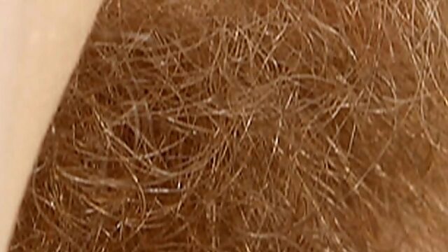 Blonde Pussy Galore - Hd Hairy Close-Up Action