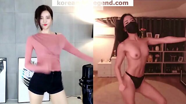 Sultry Korean Vixens Stripped Down