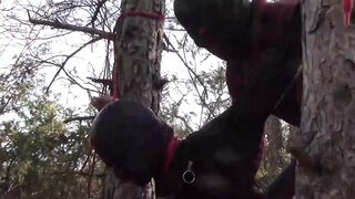 Tied Up To A Tree Outdoor On Sexy Clothes, Wearing Pantyhose And High Ankle Boots Heels, Rough Fuck