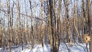 A Warming Juicy Blowjob In The Winter Forest