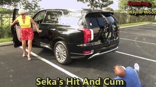 Seka's Hit And Cum