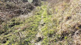 Il Primo Pompino Con Ingoio Che Faccio Ad Uno Sconosciuto Incontrato Mentre Passeggio Nel Bosco