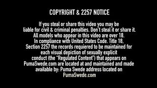 Busty Potty Mouth Puma Swede Blows & Milks A Throbbing Cock