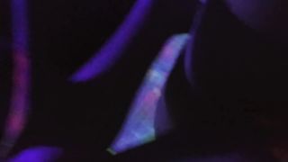 Glowing Tiny Little Dick Fucks Whore And Gets Laughed At