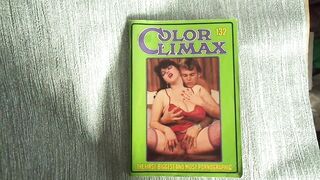 Magazine Color Climax 132 Von 1985