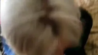 Blonde Blow Job