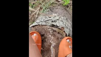 Pervert Girl Pissing In The Woods From A Tree Stump