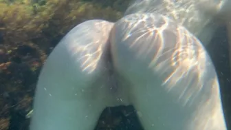 Naked Pussy Underwater At Sea Close Up