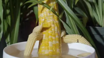 Corny Corn