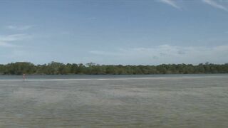 Woman With Two Boyfriends Enjoy A Beach Date