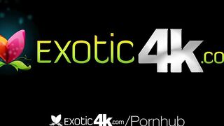 Exotic4K Ebony Sluts Suck Amazing Cock Compilation