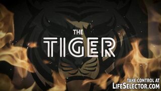 Introducing The Tiger - 85285