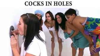 Dicks In Holes: A Compilation