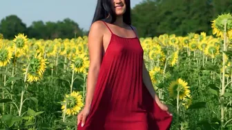 Asian Teen Posing In Sunfolower Field