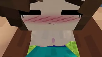 Minecraft - Jenny Sexmod Update 1.3.1 Amazing Boobjob