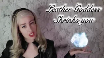 Leather Goddess Shrinks You