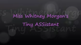 Miss Whitney Morgan's Tiny Assistant - Wmv