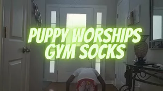 Puppy Worships Gym Socks