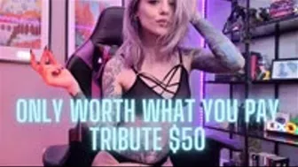 Tribute 50 - Worth What You Pay