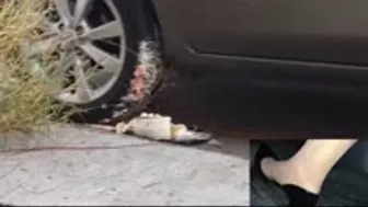 Mean And Sexy Secretary Runs Over A Cake With Her Car And Patent Office Heels