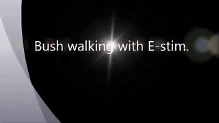 Bush Walking My E-Stim